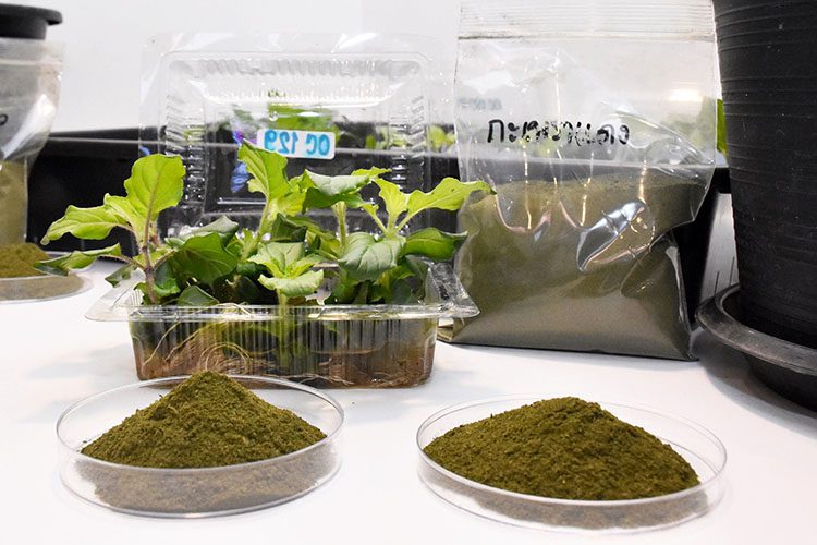 สภาเภสัชฯ สวทช. และสปสช. นำเทคโนโลยี A-MED Care Pharma เชื่อมระบบบริการเภสัชกรรม พัฒนาคุณภาพชีวิตคนไทย