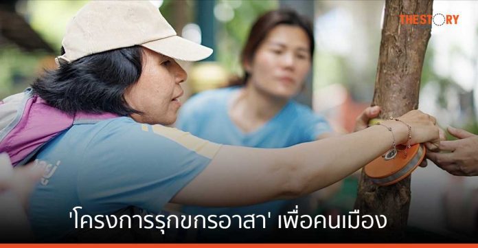 กรุงไทย  “รุกขกรอาสา” ร่วมดูแลสุขภาพต้นไม้ใหญ่ ส่งต่อพื้นที่สีเขียว เพื่อคนในเมือง