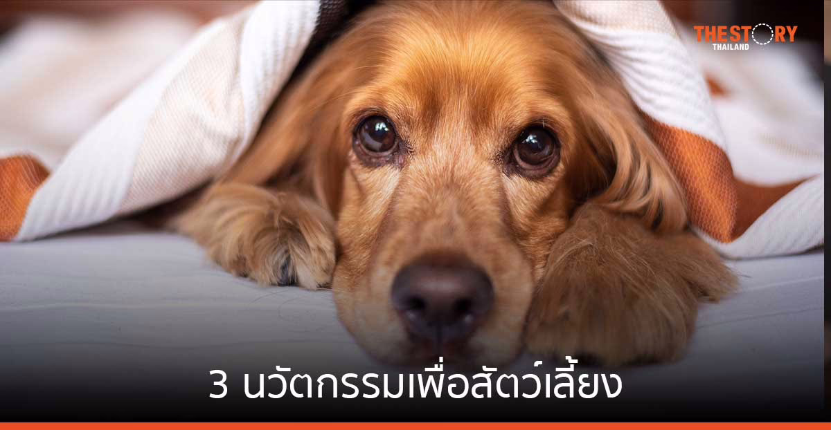 ชวนรู้จัก “Pet Tech” 3 นวัตกรรมเพื่อสัตว์เลี้ยง