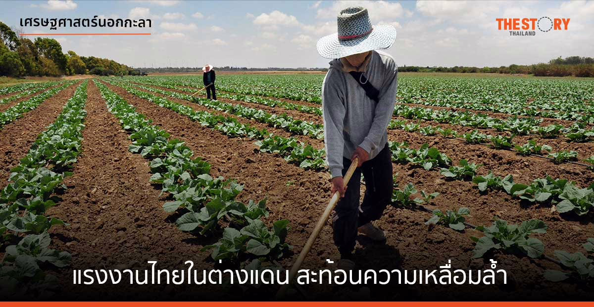 แรงงานไทยในต่างแดน สะท้อนความเหลื่อมล้ำ