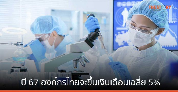 เมอร์เซอร์ เผยปี 67 องค์กรไทยจะขึ้นเงินเดือนเฉลี่ย 5% 'วิทย์ฯสุขภาพ - เทคขั้นสูง - ยานยนต์' โอกาสสูงสุด
