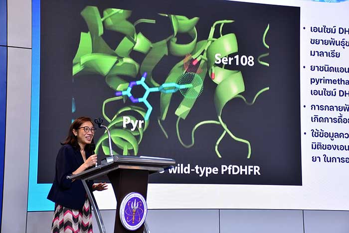 ดร.ดารินทร์ คงคาสุริยะฉาย หัวหน้าทีมวิจัยวิศวกรรมโปรตีนฯ ไบโอเทค