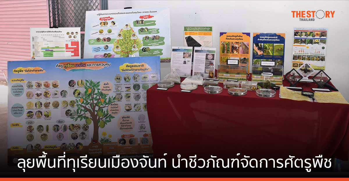 ไบโอเทค ลุยพื้นที่ทุเรียนเมืองจันท์ นำชีวภัณฑ์จัดการศัตรูพืชและแมลงธรรมชาติ