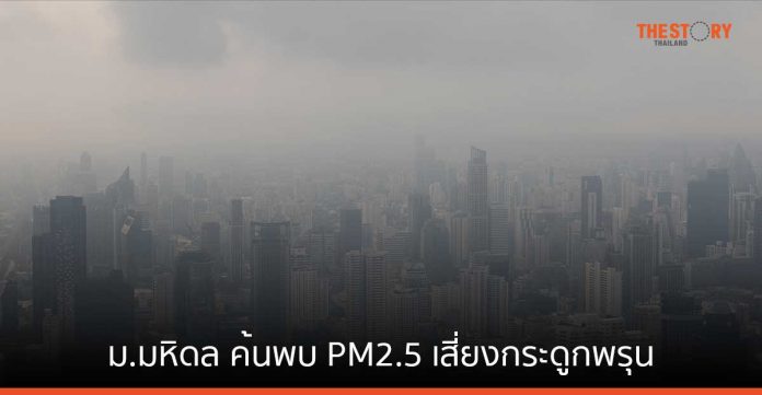 ม.มหิดล ค้นพบ PM2.5 เสี่ยงกระดูกพรุนจากภาวะอักเสบในหนูทดลอง