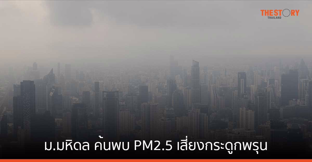 ม.มหิดล ค้นพบ PM2.5 เสี่ยงกระดูกพรุนจากภาวะอักเสบในหนูทดลอง