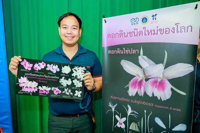 ดร.ณัฐพล นพพรเจริญกุล นักวิชาการกองวิชาการพฤกษศาสตร์ อพวช. ผู้ค้นพบ “ดอกดินไข่ปลา” พืชชนิดใหม่ของโลก