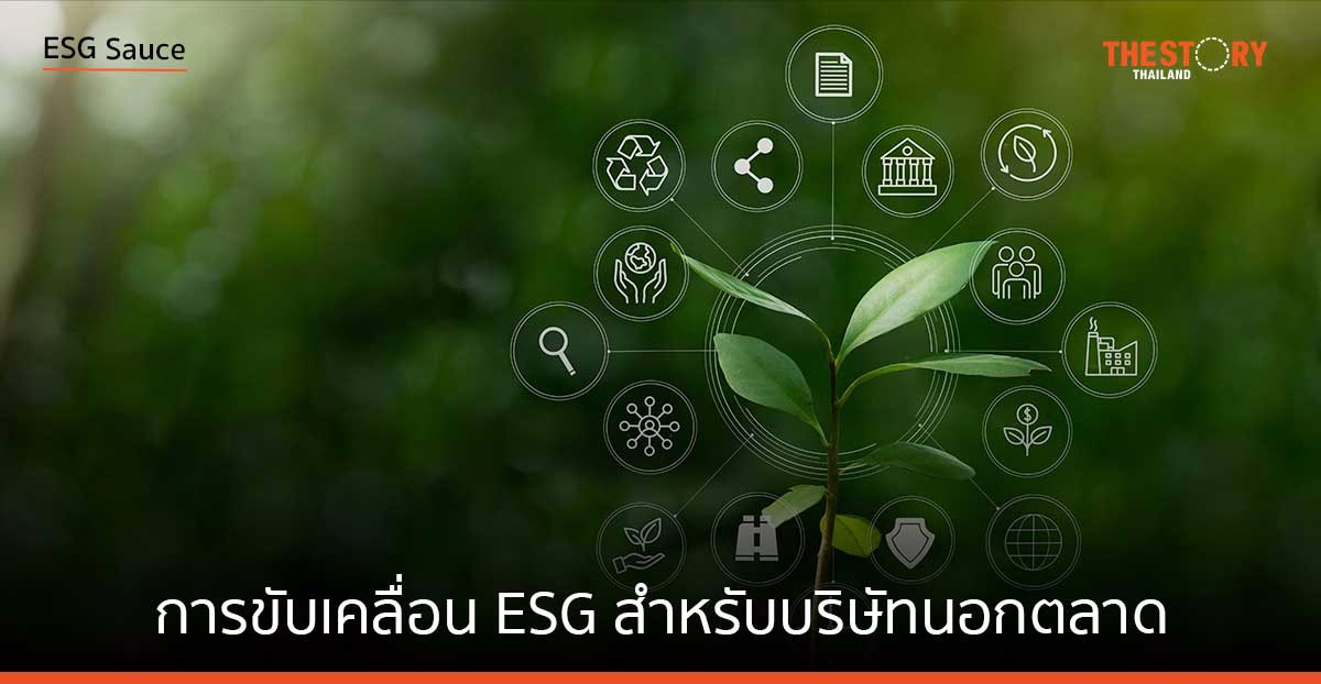 การขับเคลื่อน ESG สำหรับบริษัทนอกตลาด