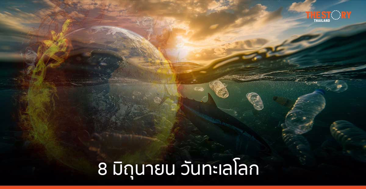 8 มิถุนายน วันทะเลโลก (World Ocean Day) โลกเดือด ทะเลร้อน TEI ชี้เร่งรีบแก้ไขปัญหาเดิม พร้อมรับปัญหาใหม่