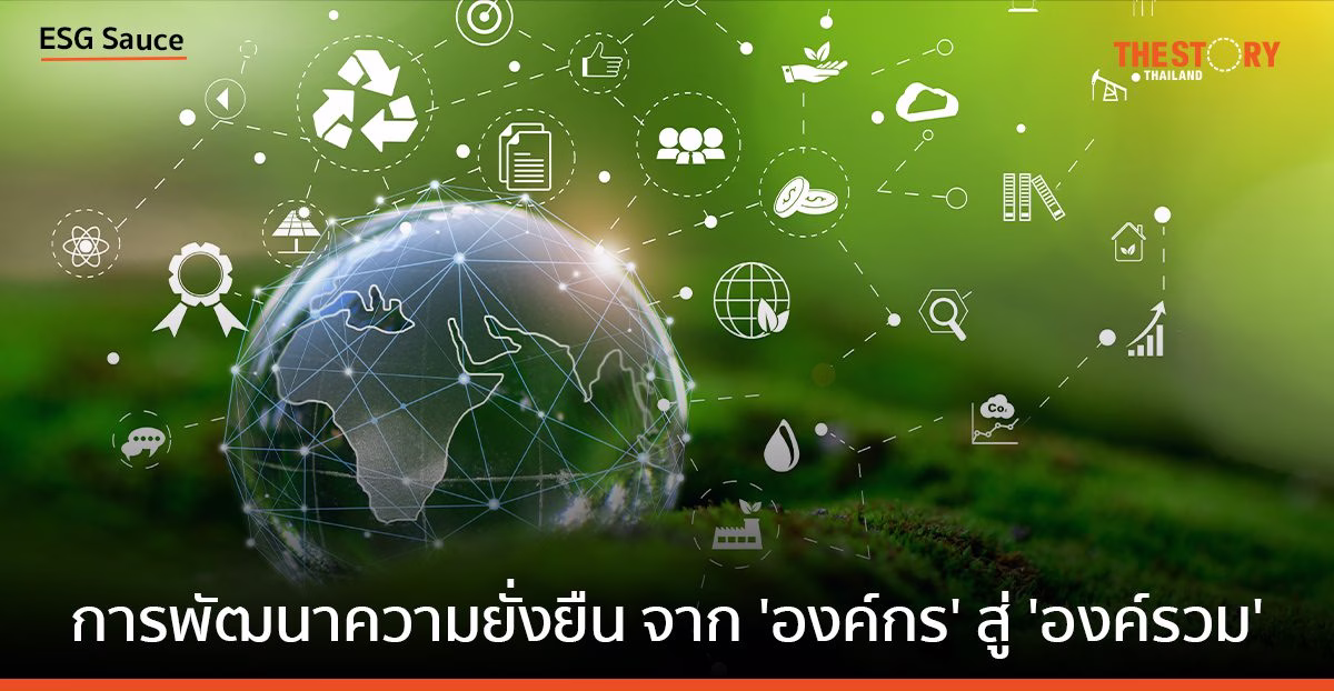 การพัฒนาความยั่งยืนจาก ‘องค์กร’ สู่ ‘องค์รวม’