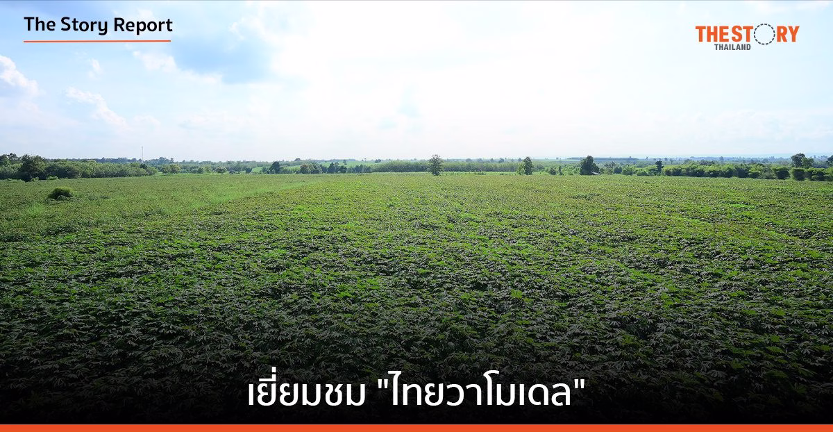 เยี่ยมชม “ไทยวาโมเดล” ณ ไร่มันสำปะหลัง มาตรฐาน FSA อ.โนนสะอาดจ.อุดรธานี