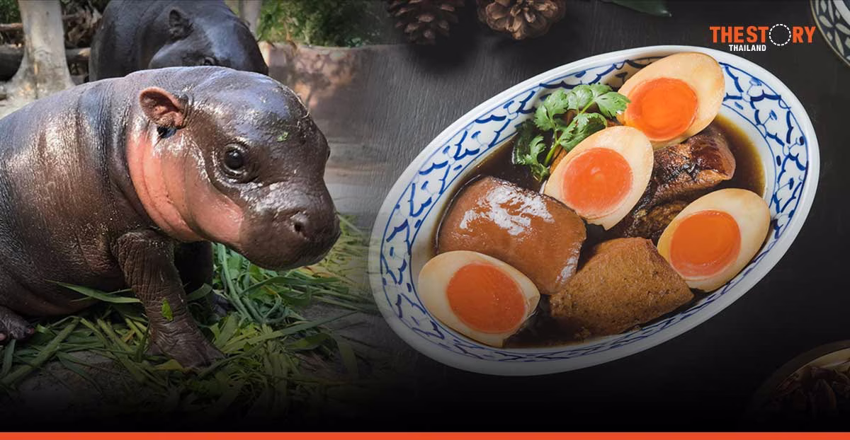 ไข่พะโล้พี่เอ – หมูเด้ง ดันตลาดครึก LINE MAN เผยคนไทยสั่งไข่พะโล้พุ่ง 2 เท่า