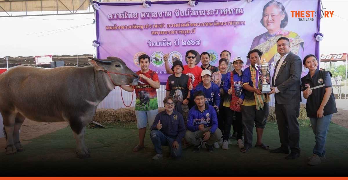 บิทคับ จับมือ เจ้าทุย นำใบพันธุ์ประวัติควายในรูปแบบ NFTs มาใช้งานจริงเป็นครั้งแรก