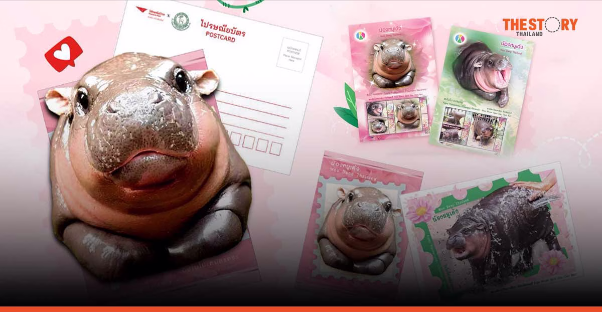 ไปรษณีย์ไทยเปิดตัว iStamp และโปสต์การ์ด ‘น้องหมูเด้ง’ รายได้มอบช่วยเหลือสัตว์ป่า และผู้ประสบอุทกภัย
