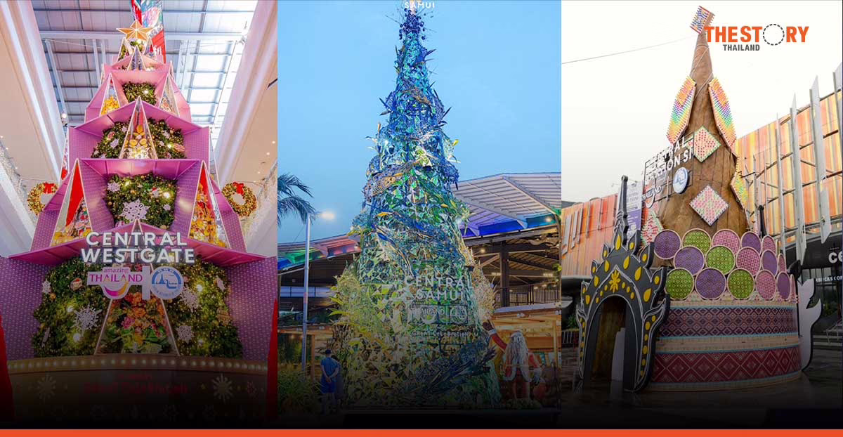 เซ็นทรัลพัฒนา ผนึก ททท. โชว์ 11 ต้นคริสต์มาสโชว์อัตลักษณ์ท้องถิ่น ฝีมือคนท้องถิ่น