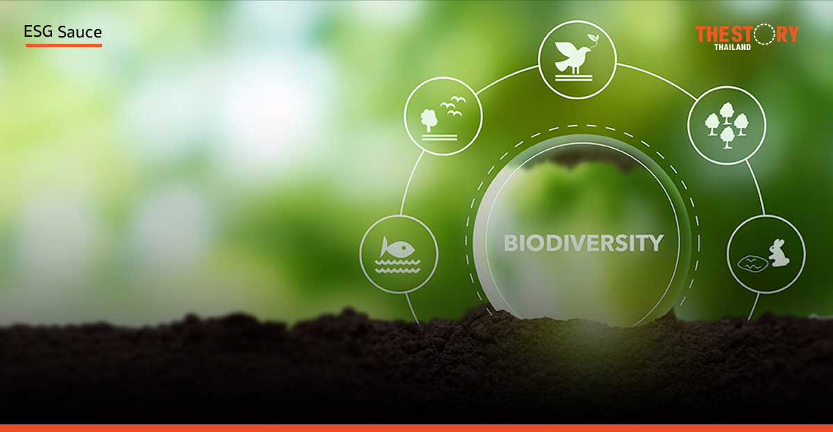 15 บริษัทใน SET50 ต้องเปิดข้อมูล Biodiversity ภายในปี 2573