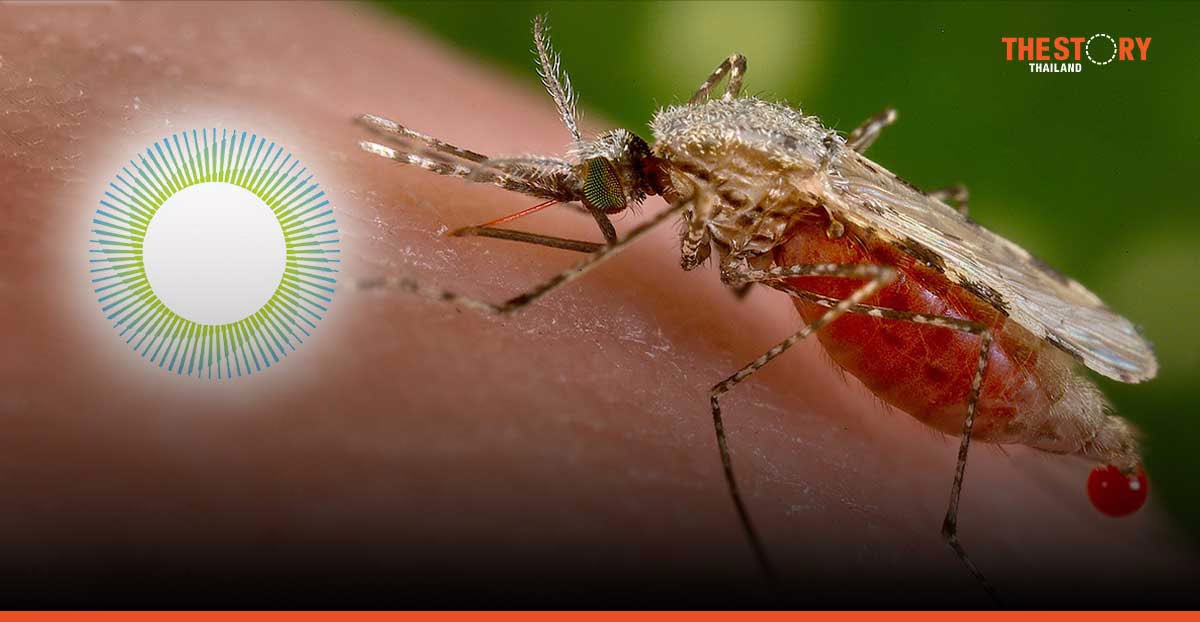 ซินโครตรอนร่วมพัฒนา ใช้ยารักษามะเร็งเพื่อต้านมาลาเรีย