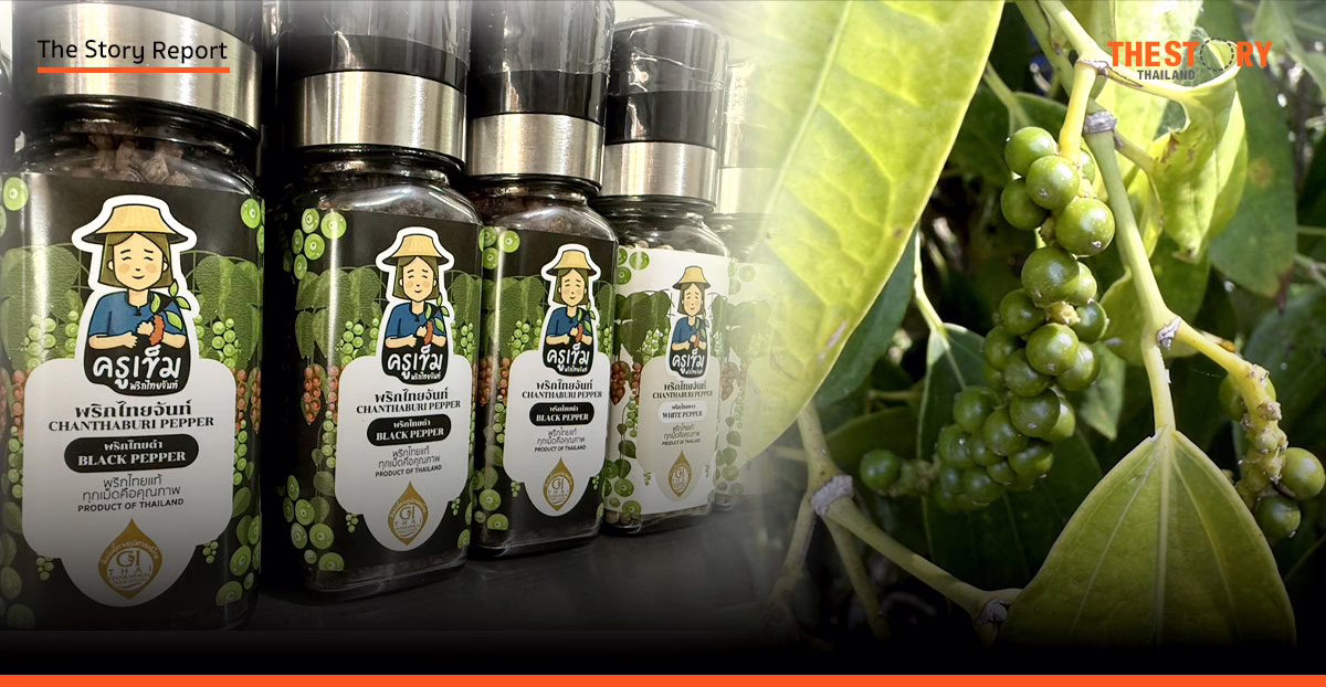 พริกไทยจันท์: จากราชาเครื่องเทศสู่ความภาคภูมิใจแห่ง GI