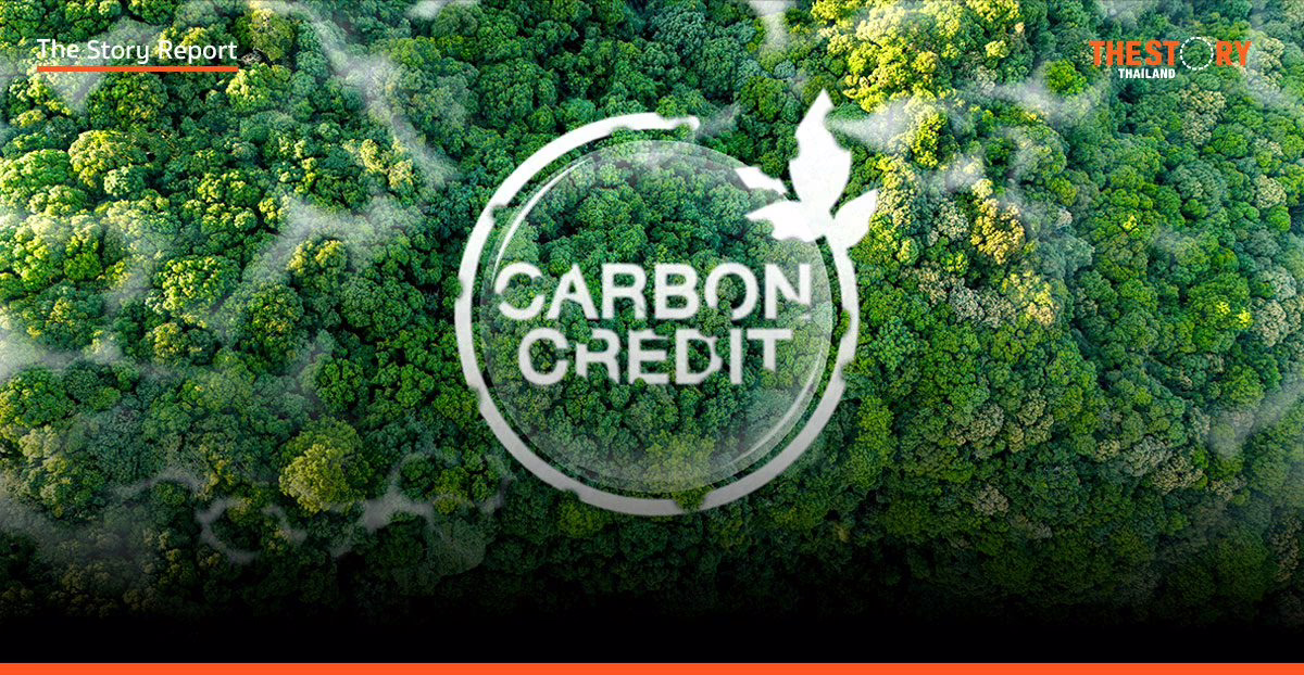 ปฏิวัติ T-VER ป่าไม้ไทย: ‘AI-ประกันภัยคาร์บอน’ สู่มาตรฐานโลก