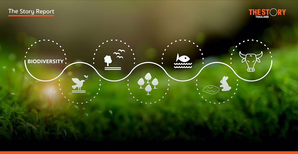 ธุรกิจไทยมุ่งสู่ความหลากหลายทางชีวภาพ สร้างรากฐานความยั่งยืน