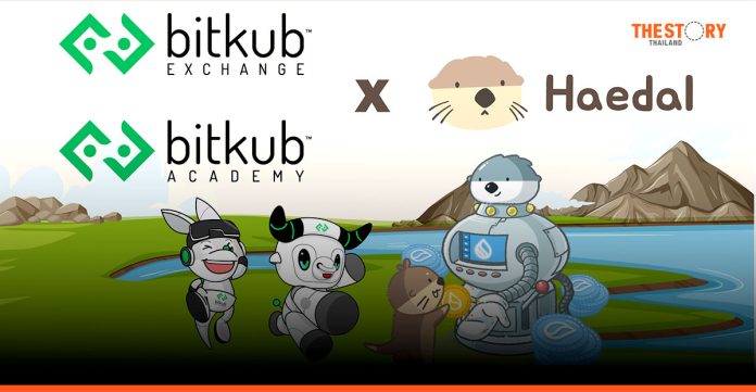 Bitkub partners with Haedal protocol to boost Sui DeFi education
