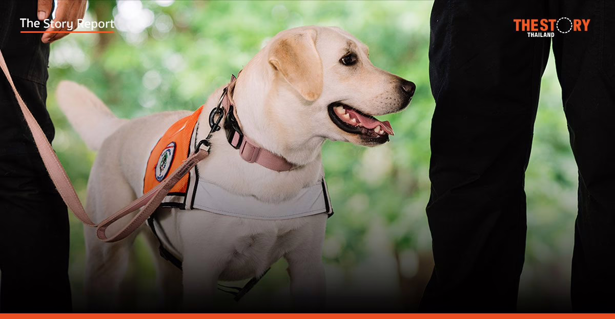 จาก K-9 สู่เยาวชน: ‘เสียงเล็ก ๆ ที่ยิ่งใหญ่’ กับยุทธศาสตร์ ‘อยู่รอดร่วมกัน’