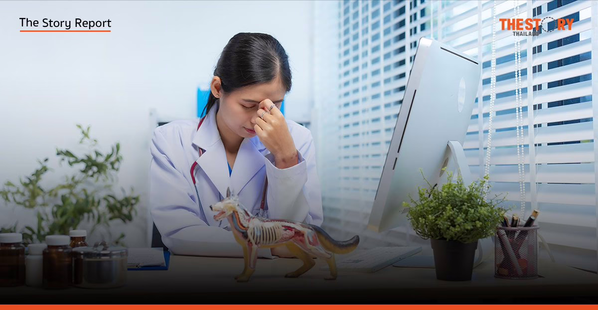 รับมือยุค Pet Parent: สัตวแพทย์ไทยถกทางรอดวิกฤติ Burnout