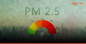 วิกฤติลมหายใจ: ป่วย 10 ล้าน เหลืออากาศดีปีละ 43 วัน