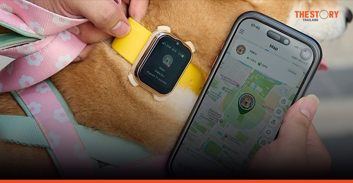 AIS เปิดตัวสมาร์ทโฟนสำหรับสัตว์เลี้ยง มี GPS-Video Call ไร้รายเดือน